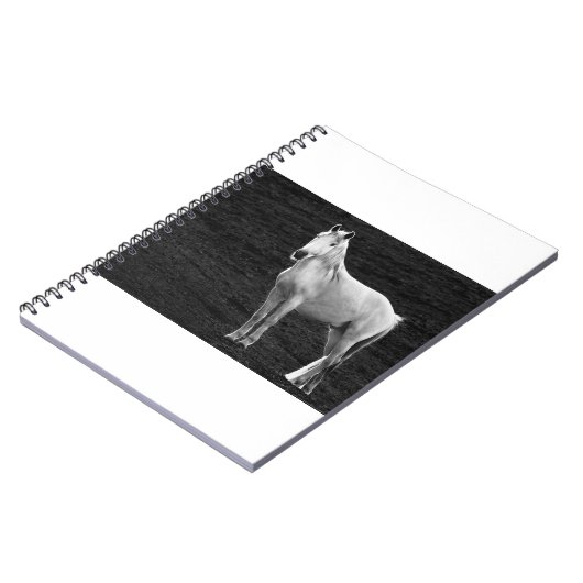 LIN10BW Stance.tif ノートブック (左側)