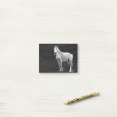 LIN10BW Stance.tif ポストイット (デスク上)