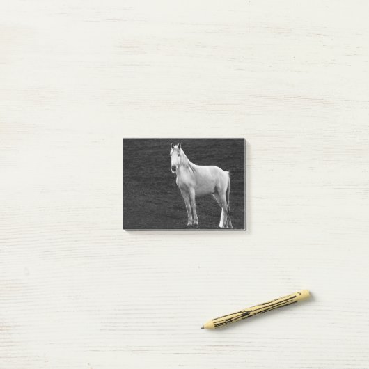 LIN10BW Stance.tif ポストイット (デスク上)