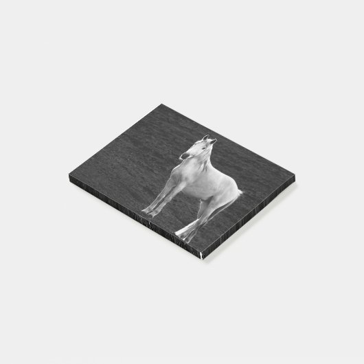 LIN10BW Stance.tif ポストイット (アングル)