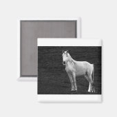 LIN10BW The Stance.tif マグネット (正面/裏面)