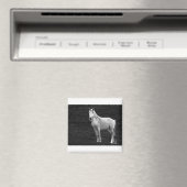 LIN10BW The Stance.tif マグネット (インサイチュ (食洗機))