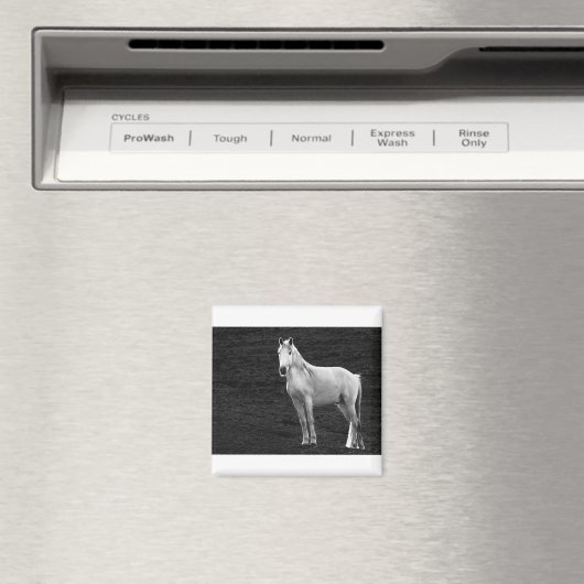 LIN10BW The Stance.tif マグネット (インサイチュ (食洗機))