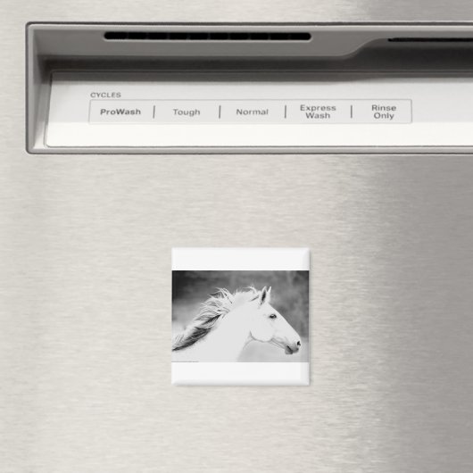 LIN26BW Mane in the Wind.tif マグネット (インサイチュ (食洗機))