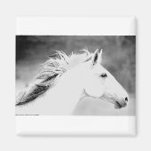 LIN26BW Mane in the Wind.tif マグネット (正面)