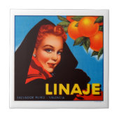 Linajeの柑橘類 タイル (正面)