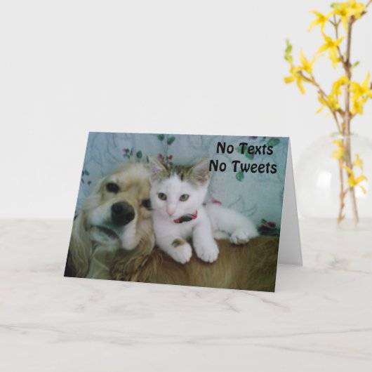 *LINDA'S* GET WELL CARD カード (黄色い花)