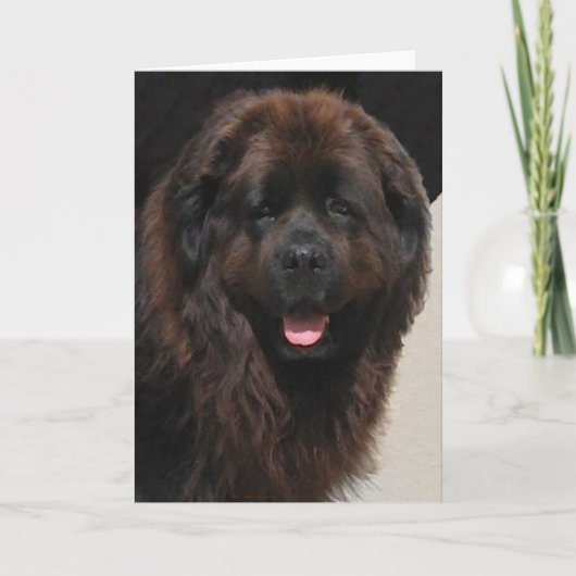 Linderhof Newfie カード (正面)