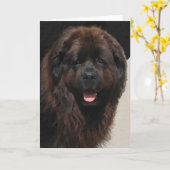 Linderhof Newfie カード (黄色い花)