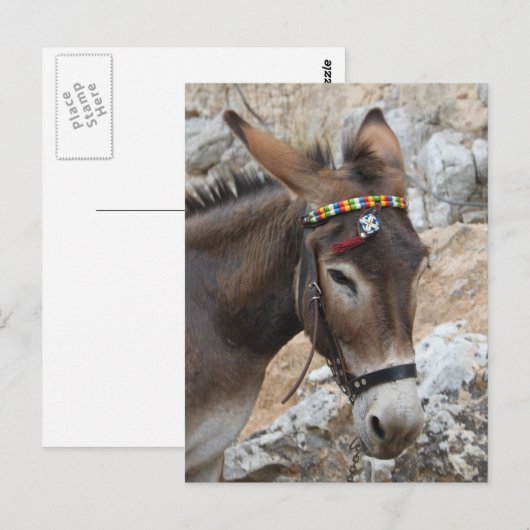 Lindosのろば ポストカード (正面/裏面)