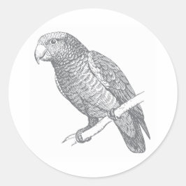 Line Art of Parrot (Gray) Fine Art ラウンドシール