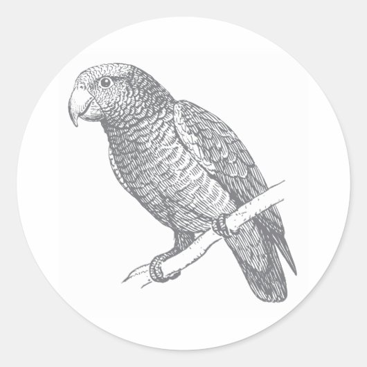 Line Art of Parrot (Gray) Fine Art ラウンドシール (正面)