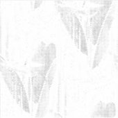 Line art, Seashell, Harp Custom-Cut Vinyl Sticker シール (正面)