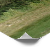 Line of Leanning Trees Landscapeプリント ポスター (角)