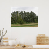 Line of Leanning Trees Landscapeプリント ポスター (キッチン)