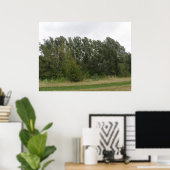 Line of Leanning Trees Landscapeプリント ポスター (ホームオフィス)