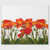 Line of red poppies isolatedart, background, beaut ラッピングペーパー (フラット)