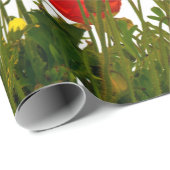 Line of red poppies isolatedart, background, beaut ラッピングペーパー (ロールコーナー)
