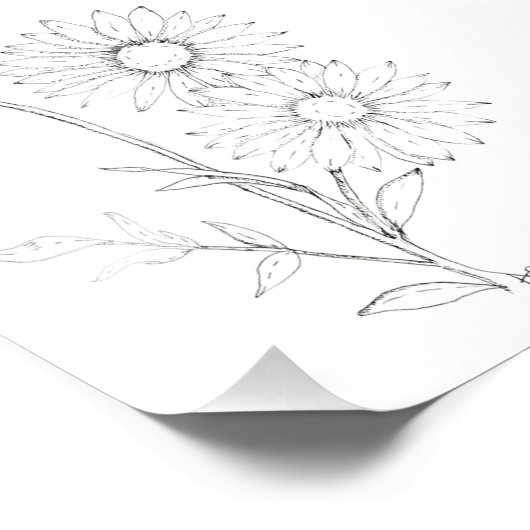 Lines & Petals フォトプリント (角)