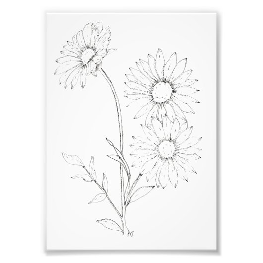 Lines & Petals フォトプリント (正面)