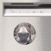 Linha Animal - Arre burriquito マグネット (インサイチュ (食洗機))