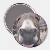 Linha Animal - Arre burriquito マグネット (正面/裏面)