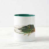Linne's Cicada (Neotibicen linnei) Annual Mug マグカップ (中央)