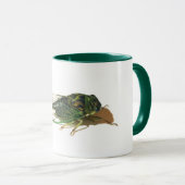 Linne's Cicada (Neotibicen linnei) Annual Mug マグカップ (正面右)