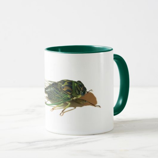 Linne's Cicada (Neotibicen linnei) Annual Mug マグカップ (正面右)