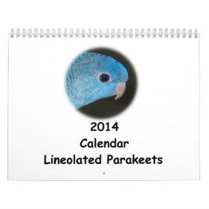 Linnieのインコ2014のカレンダー カレンダー