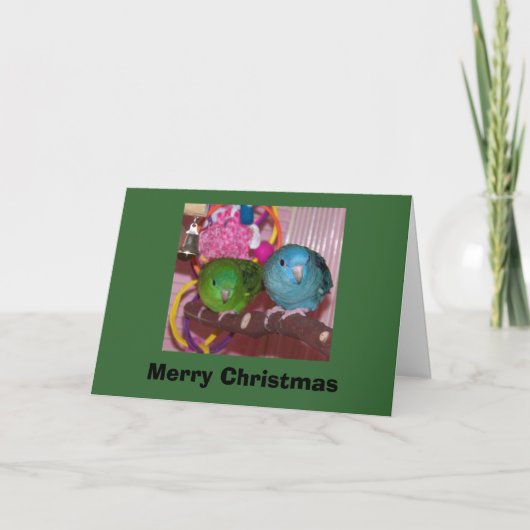 linnies2_sm、メリークリスマス シーズンカード (正面)