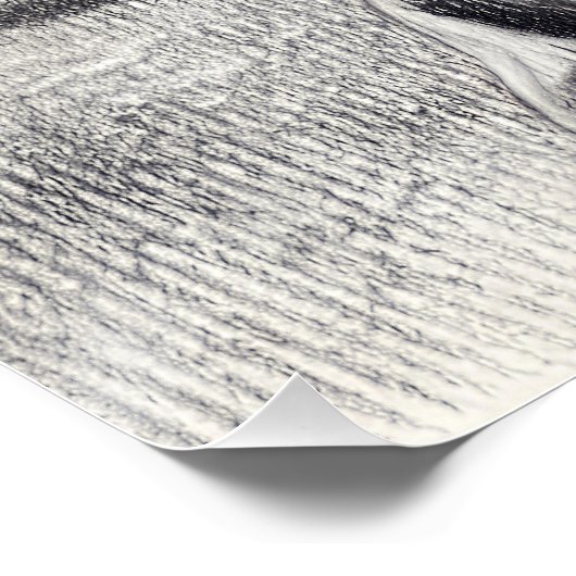 L'insoumise du parc.  ポスター (コーナー)