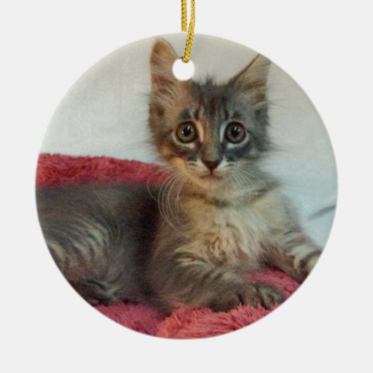 Linus セラミックオーナメント (正面)