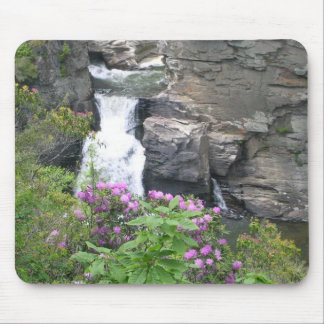 linvilleの滝 マウスパッド