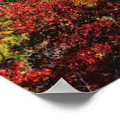 Linville Gorgeの秋のビューは頻繁に呼ばれる ポスター (角)