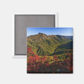 Linville Gorgeの秋のビューは頻繁に呼ばれる マグネット (正面/裏面)