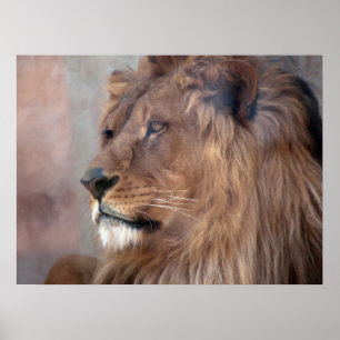 Lion王 ポスター