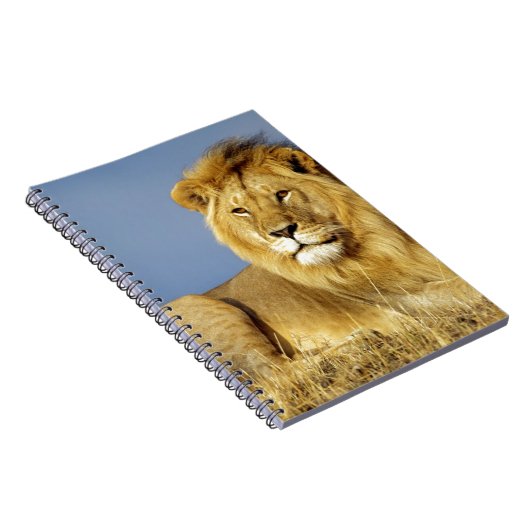 Lion ノートブック (右側)