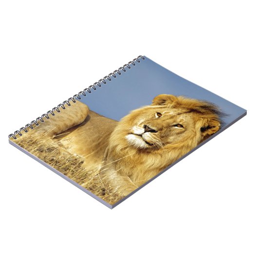 Lion ノートブック (左側)