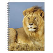 Lion ノートブック (正面)