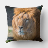 Lion 013 クッション (裏面)