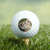 Lion 022 ゴルフボール (インサイチュ 木)