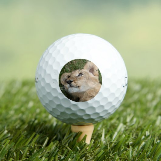 Lion 022 ゴルフボール (インサイチュ 木)