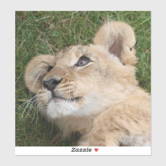 Lion 022 シール (シート)