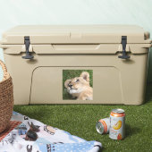 Lion 022 シール (クーラー)