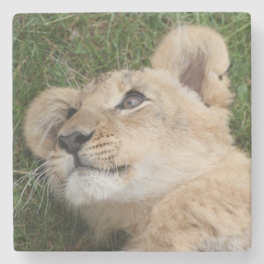 Lion 022 ストーンコースター (正面)