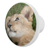 Lion 022 セラミックノブ (右)