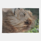 Lion 035 キッチンタオル (横)