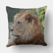 Lion 035 クッション (裏面)