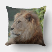 Lion 035 クッション (正面)